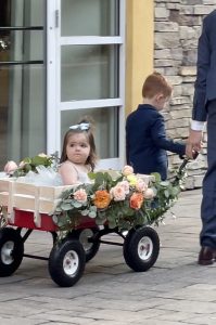 Wagon Cart Flower