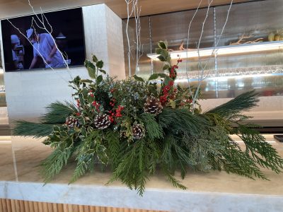 christmas winter flowers