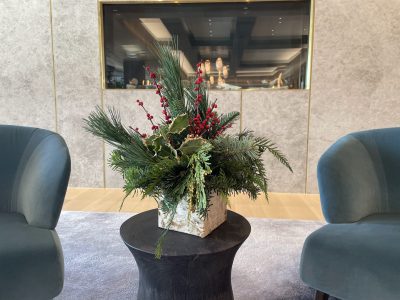 christmas winter flowers